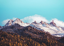 彻底玩嗨了！爱德华兹在观众席上“夺过”麦克风 客串解说与教练